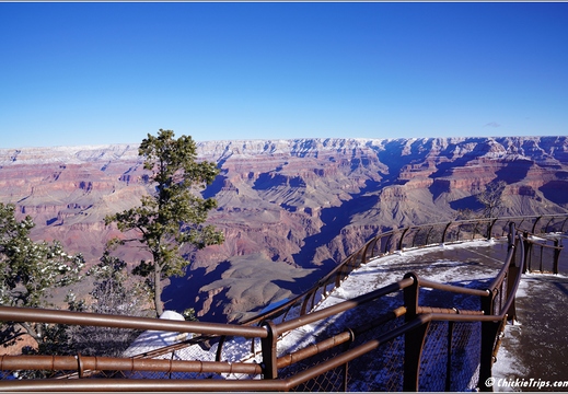 Grand Canyon National Park South Rim - Arizona 015