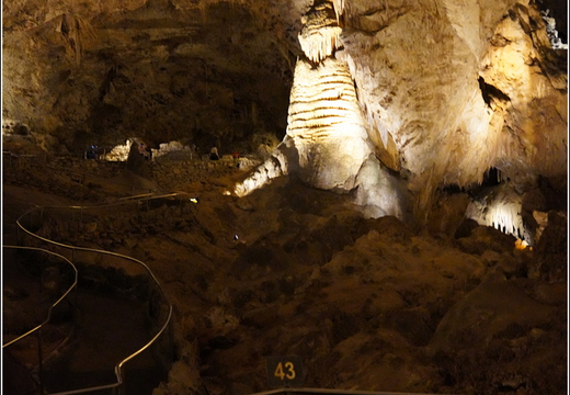 Carlsbad Caverns National Park - New Mexico 109