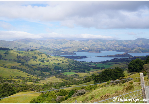 Day 07 - Journey to Middle Earth -Lord of the Rings Akaroa NZ - Dec 26 029
