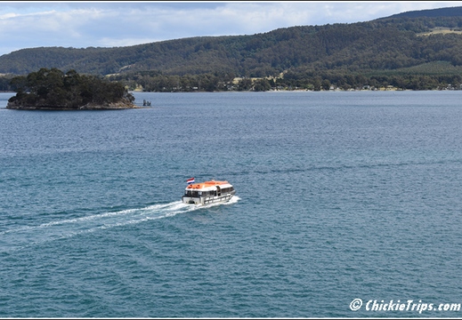 Day 12 - Wildlife and Waterways - Hobart Tasmania Au - Dec 31 004