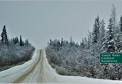 Dalton Highway - Artic Circle - Yukon River 029