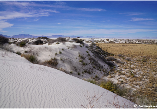 White Sands National Park - New Mexico 043