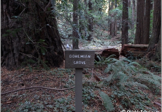 California - Muir Woods National Monument