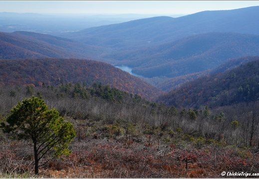 Virginia - Shenandoah National Park - Skyline Drive - Skyland Lodge 084