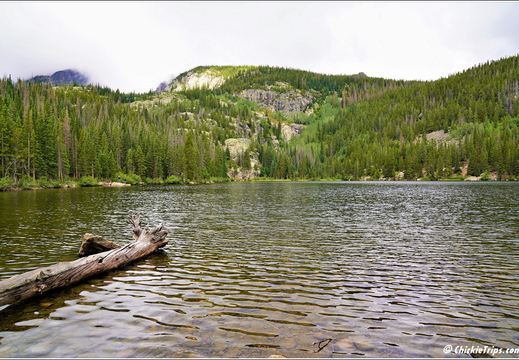 Day 1 - Colorado - Rocky Mountain National Park 016
