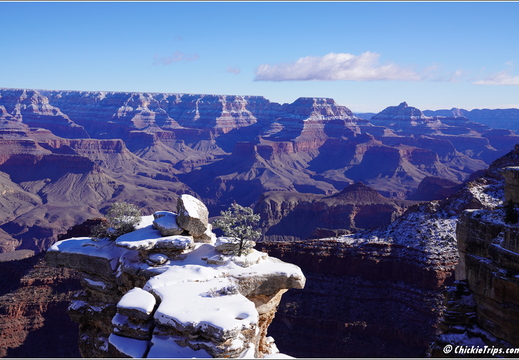 Grand Canyon National Park South Rim - Arizona 059