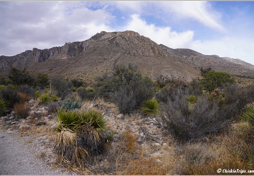 Guadalupe Mountains National Park - Texas 030