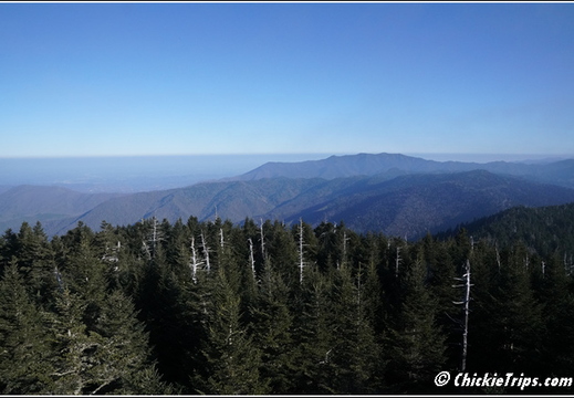 Tennessee - Clingmans Dome Great Smoky Mountains National Park 138