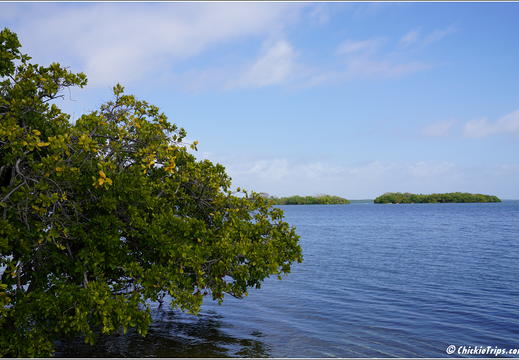 Florida - Everglades National Park 0292