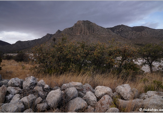Guadalupe Mountains National Park - Texas 046