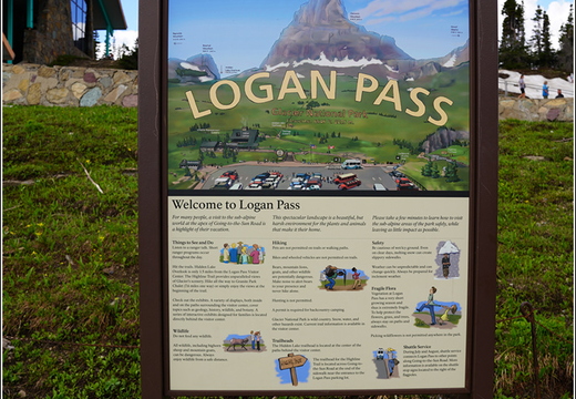 Logan Pass 07