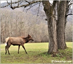 North Carolina - Oconaluftee Visitor Center Great Smoky Mountains National Park