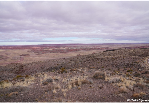 Petrified Forest National Park - Arizona 037