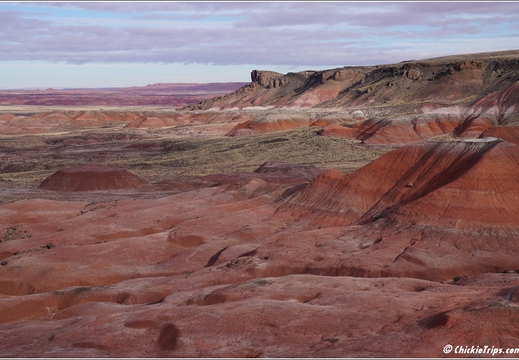 Petrified Forest National Park - Arizona 048