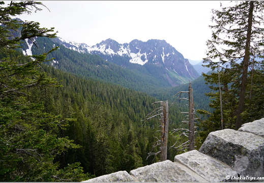 Day 4 - Washington Mount Rainier National Park 24