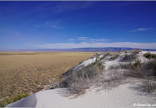 White Sands National Park - New Mexico 013