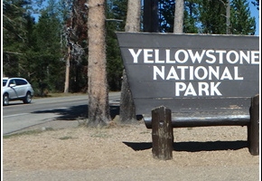 11 - Yellowstone - Wyoming - Day 5 001