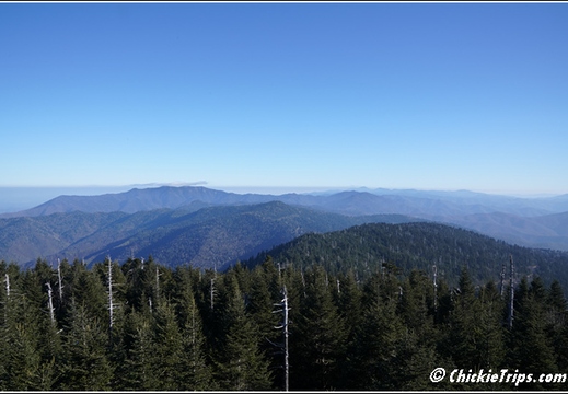 Tennessee - Clingmans Dome Great Smoky Mountains National Park 144