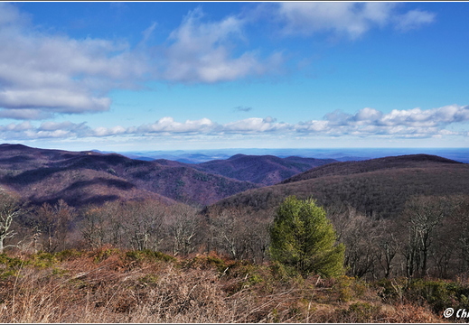 Virginia - Shenandoah National Park - Skyline Drive - Skyland Lodge 043