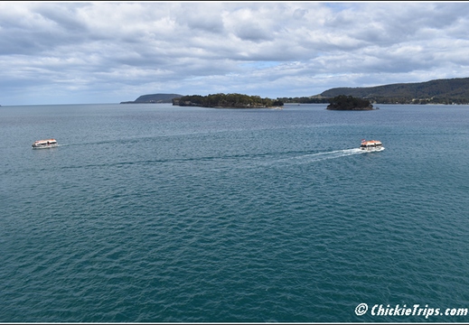 Day 12 - Wildlife and Waterways - Hobart Tasmania Au - Dec 31 003