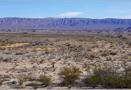 Big Bend National Park - Texas 007