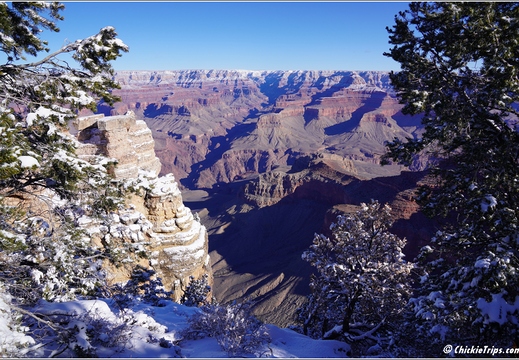 Grand Canyon National Park South Rim - Arizona 039