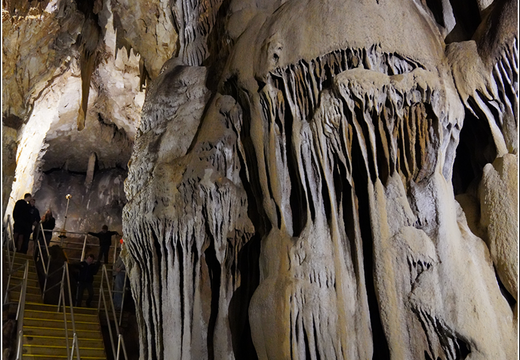 Mammoth Cave National Park 0011