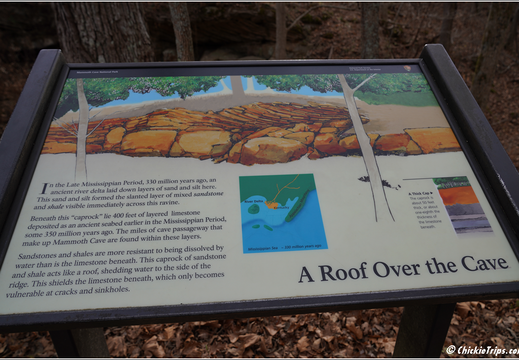 Mammoth Cave National Park 0030