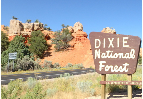 5 - Dixie National Forest 001