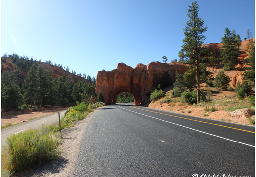 5 - Dixie National Forest 010