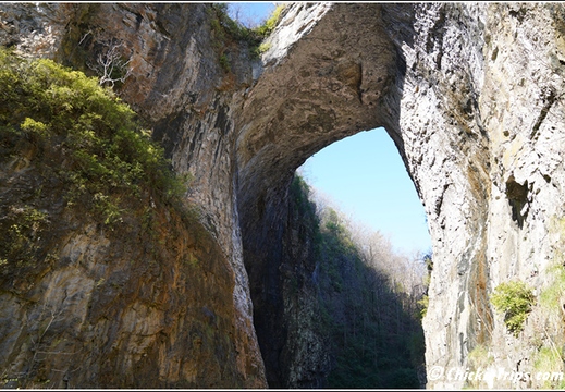 Virginia - Natural Bridge State Park 187