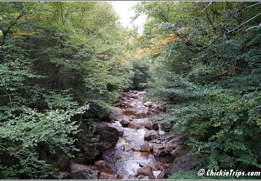 NH Franconia Notch State Park Flume Gorge - New Hampshire 00111