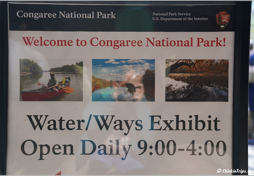 South Carolina - Congree National Park Day 5 190