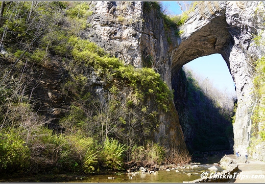Virginia - Natural Bridge State Park 186
